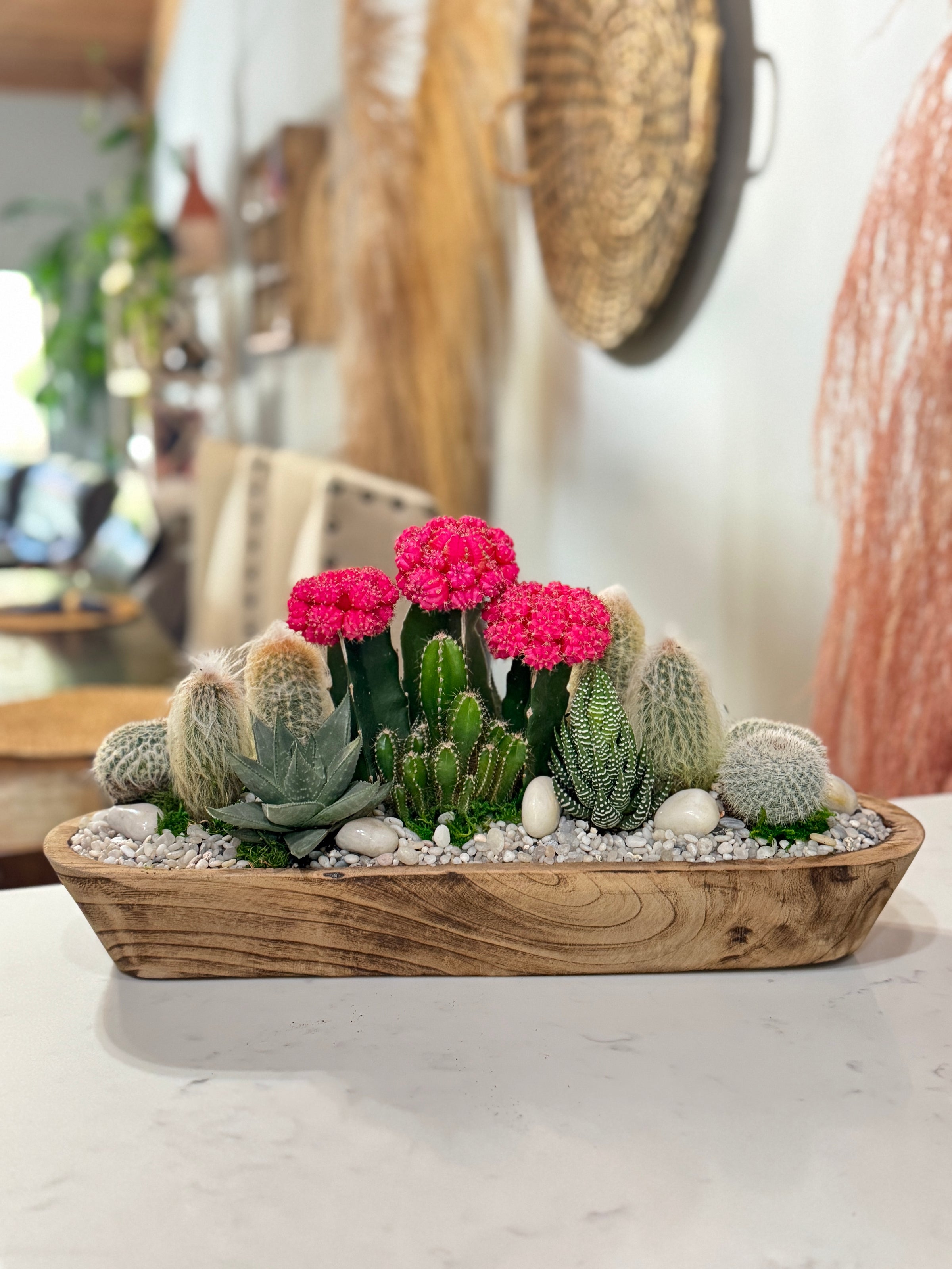 Sunset Cactus Garden | Keeks Corner